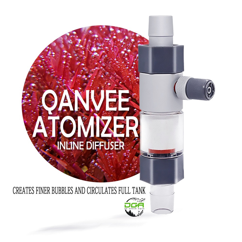 quanvee