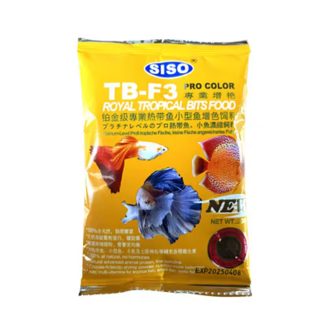 Daily Tropical Fish Feed